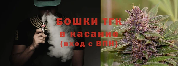 твердый Алзамай