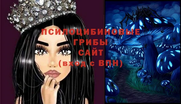 гашик Новозыбков