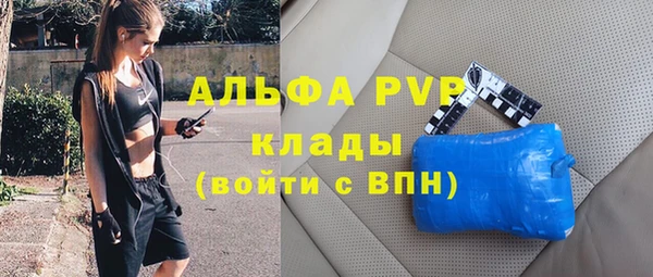 гашик Новозыбков