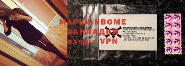 гашик Новозыбков