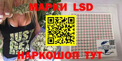 дмт Камышлов