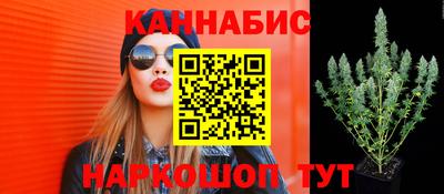 spice Канаш