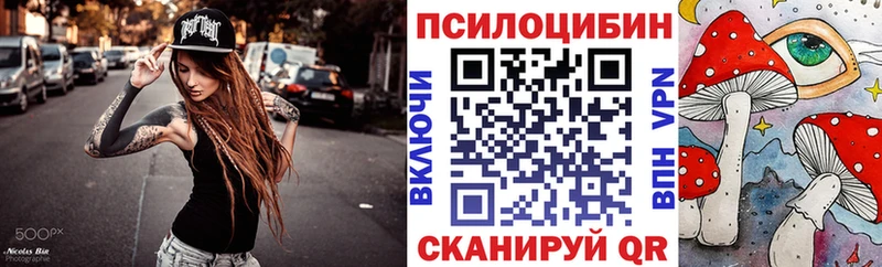 купить наркотики сайты  Лениногорск  Псилоцибиновые грибы прущие грибы 