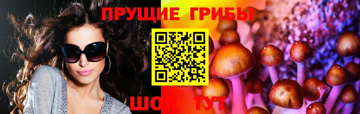 Лениногорск  Псилоцибиновые грибы Psilocybe  Вход с VPN 